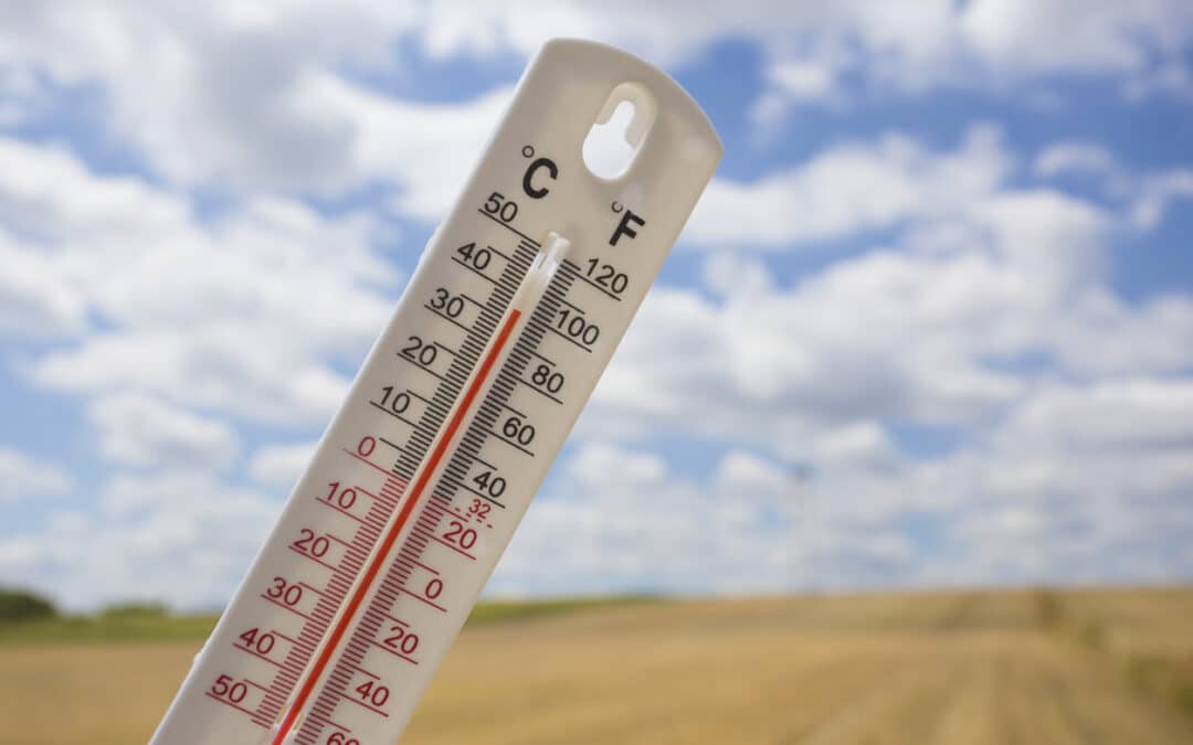 What Employers Should Know about Extreme High Heat